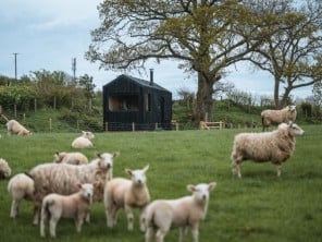 Pet Friendly, Romantic & Off Grid Castor Shack in Rural Setting